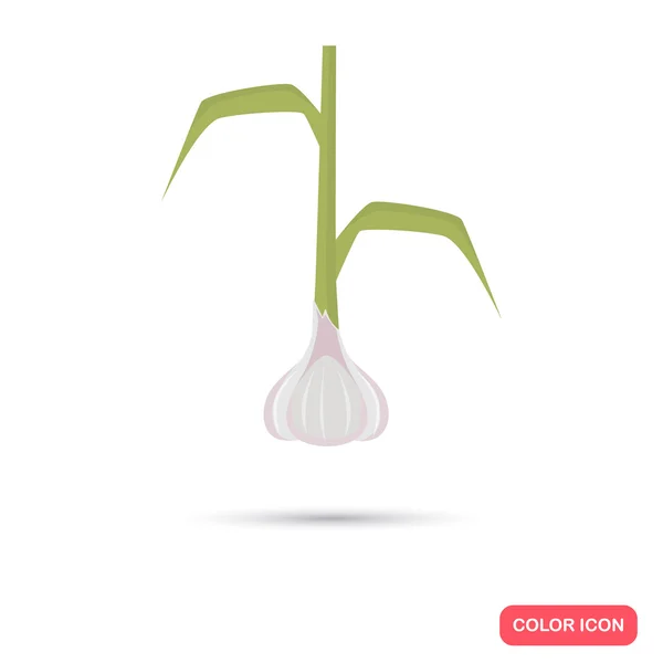 Cultivo agrícola de ajo. Icono plano de color — Vector de stock