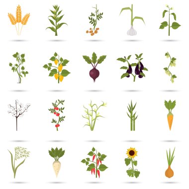 Tarım bitkileri düz Icons set renk