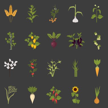 Tarım bitkileri düz Icons set renk