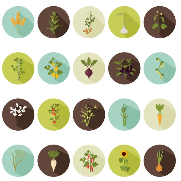 Agricultura cultivos color iconos planos conjunto — Archivo Imágenes Vectoriales