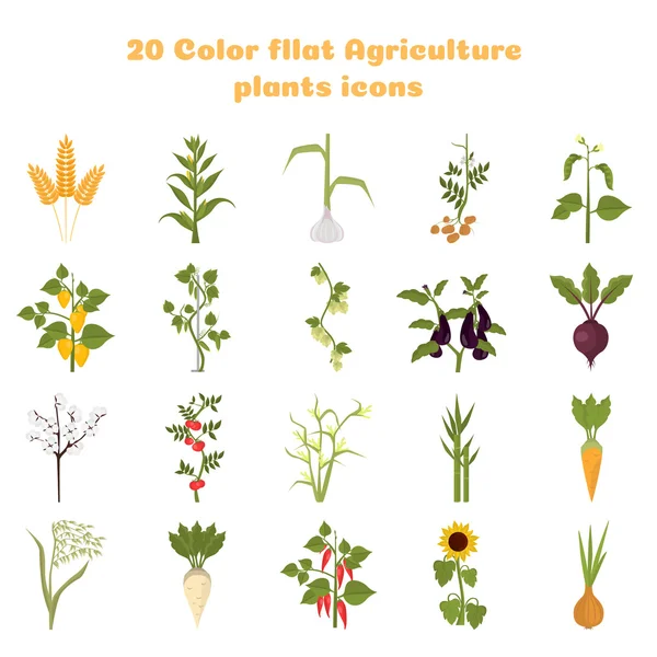 Landwirtschaft Pflanzen Farbe flache Symbole gesetzt — Stockvektor