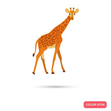 Zürafa renk düz simgesi web ve mobil tasarım için