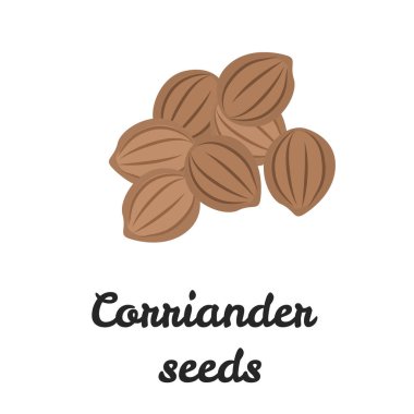 Kişniş tohumu düz simgesi web ve mobil tasarım için renk