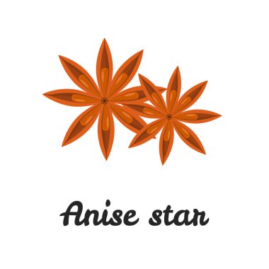 Anason yıldız web ve mobil tasarım için düz simge renk