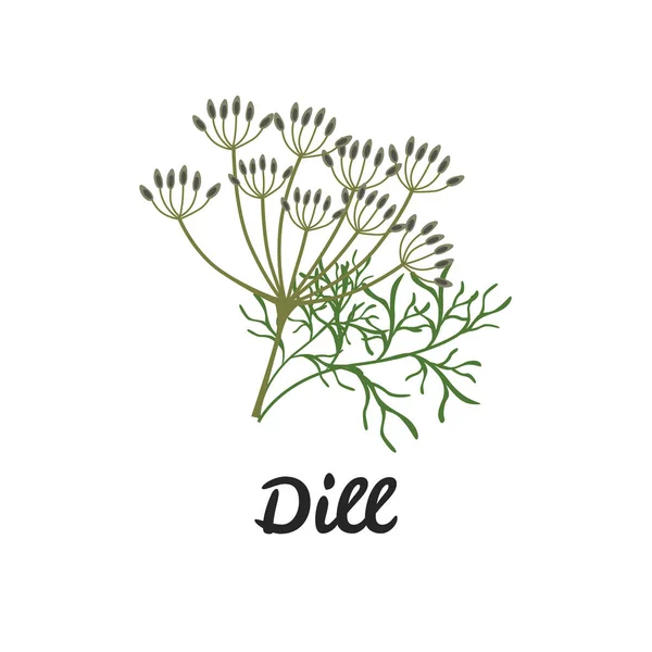 Dill Farbe flaches Symbol für Web-und mobiles Design — Stockvektor