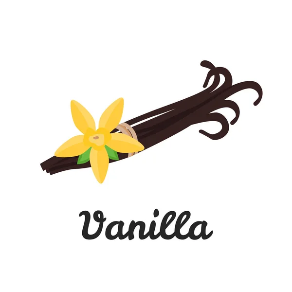 Ванільні палички кольоровий плоский значок для веб- та мобільного дизайну — стоковий вектор