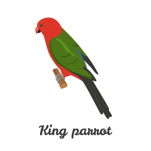 King parrot color flat icon for web and mobile design — Stock Vector