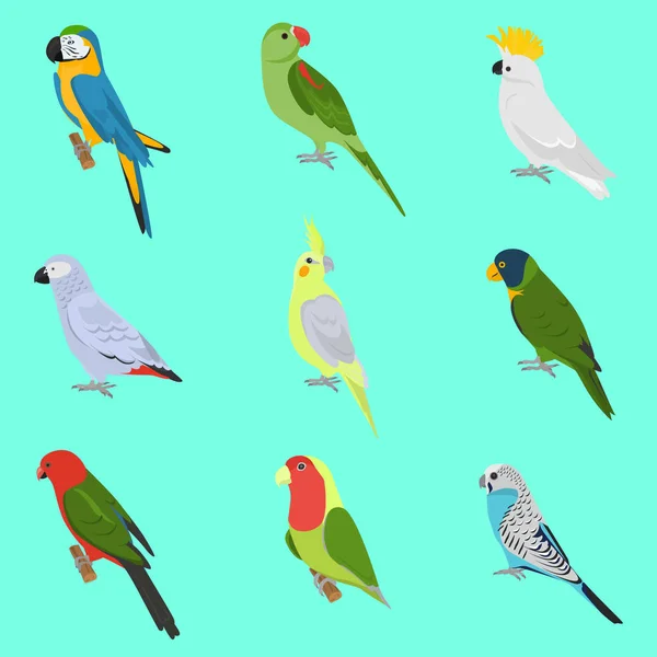 Uppsättning platt papegojor färgikoner — Stock vektor