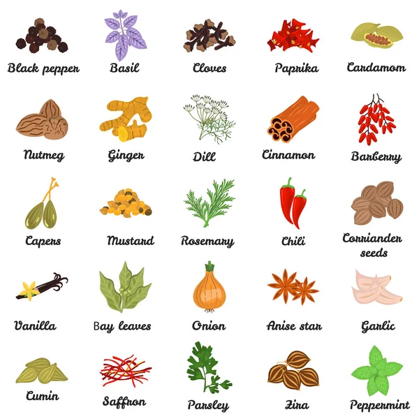 Conjunto de ícones de especiarias planas coloridas com nomes —  Vetores de Stock