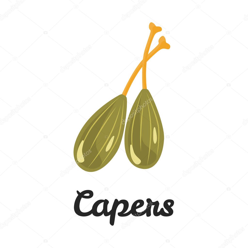 Capers color flat icon for web and mobile design