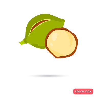 Macadamia nut renk simgeleri karikatür tasarım