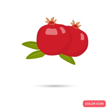 Nar renkli simge. Karikatür tarzı web ve mobil tasarım için