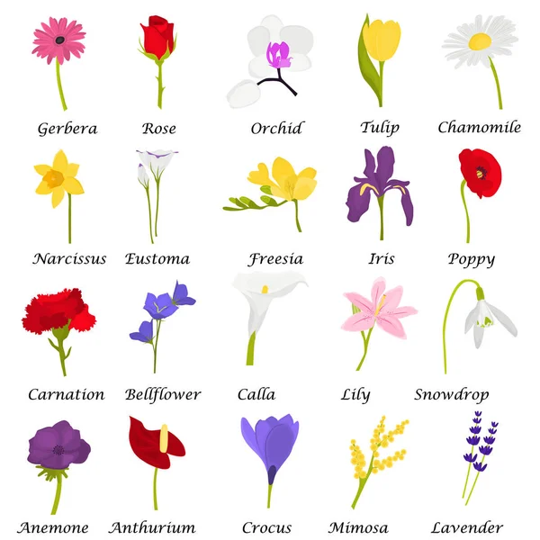 Set van verschillende bloemen kleur platte iconen voor web en mobiele apparatuur — Stockvector