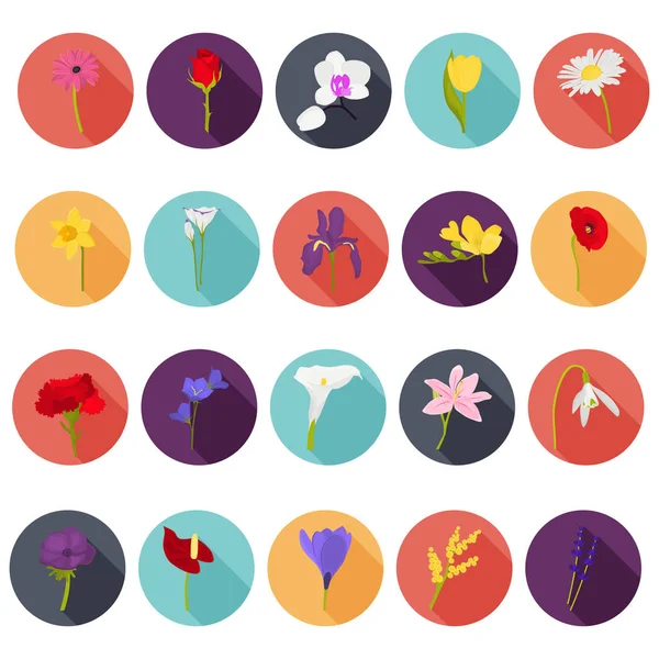 Sada různých květin barevné ploché ikony pro web a mobilní design — Stockový vektor