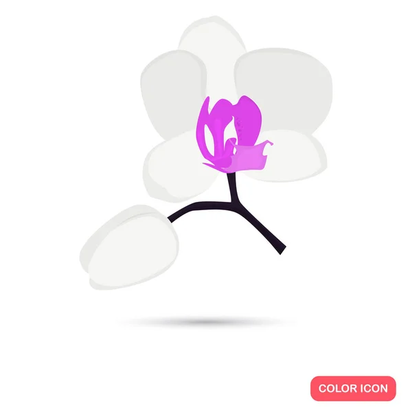 Orchidee Blume Farbe flaches Symbol für Web-und mobiles Design — Stockvektor