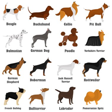 Farklı doğurmak-in köpek Seth düz simgesi s web ve mobil tasarım için renk