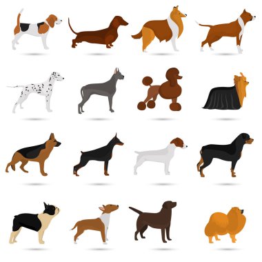 Seth of different breeds of dogs color flat icon s for web and mobile design clipart