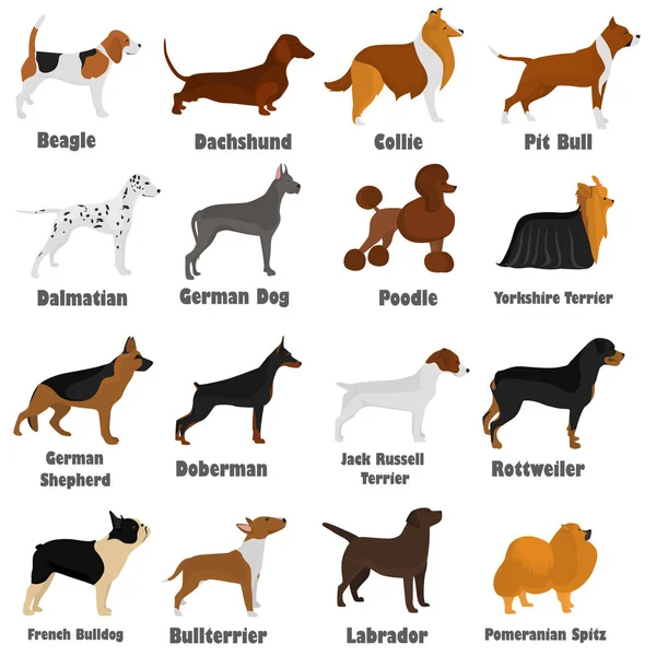 Seth av olika raser av hundar färg flat ikonen s för webb och mobil design — Stock vektor