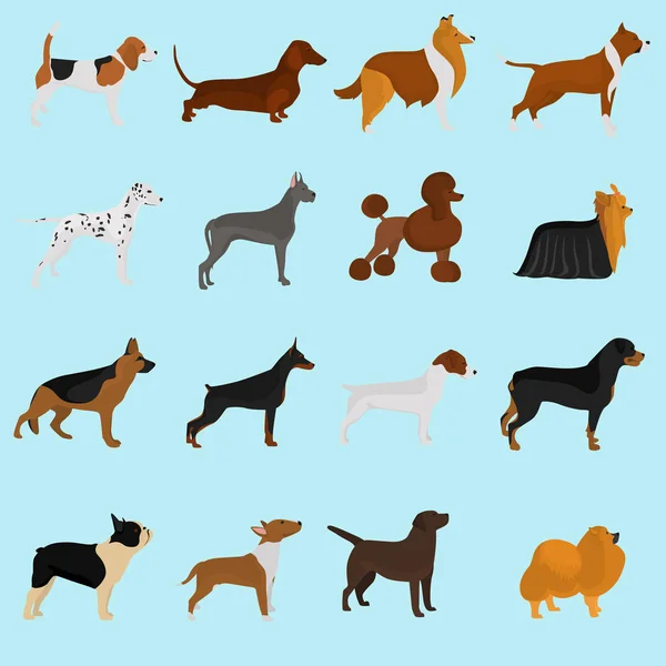 Sete de raças diferentes de cães cor plana ícone s para web e design móvel — Vetor de Stock