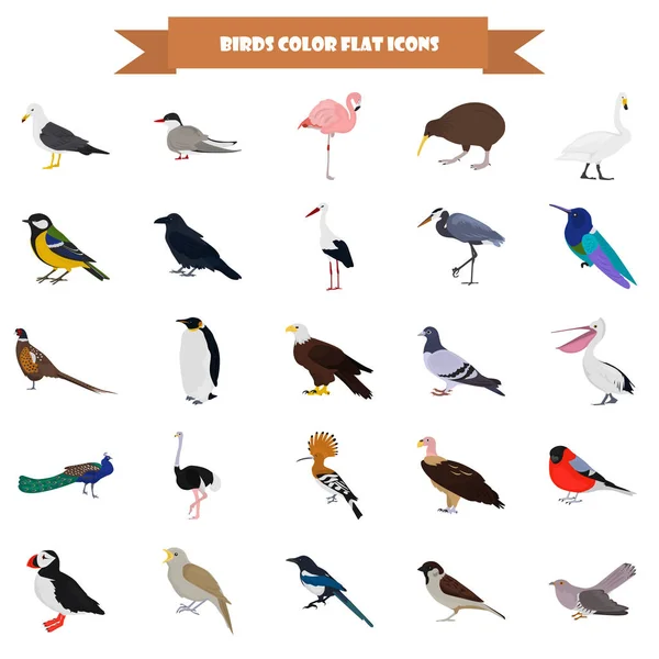 Sada barevných ptáků ikon pro web a mobilní design — Stockový vektor