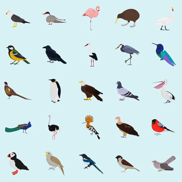 Ensemble d'icônes d'oiseaux de couleur pour le web et la conception mobile — Image vectorielle