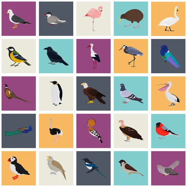 Web ve mobil tasarım için renk kuşlar simgeler kümesi — Stok Vektör