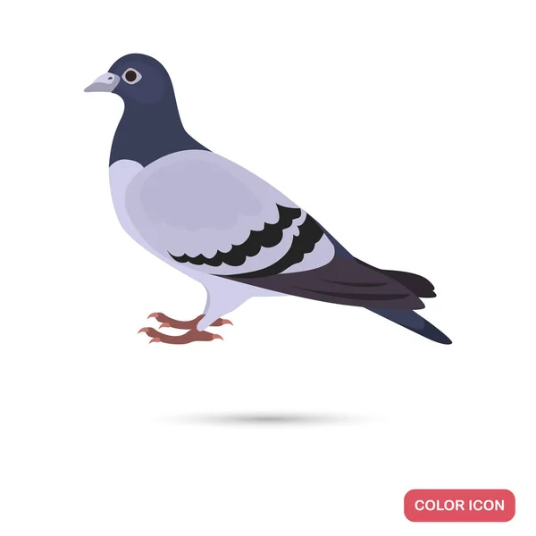 Icône plate couleur pigeon pour web et design mobile — Image vectorielle