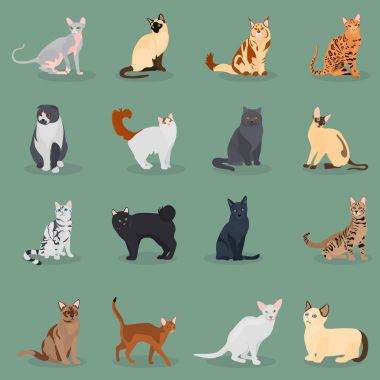 Web ve mobil tasarım için renk düz simgeler kümesi kedi doğurmak