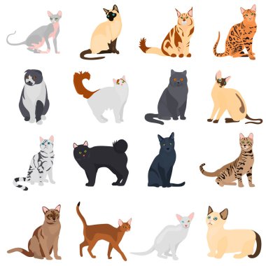 Web ve mobil tasarım için renk düz simgeler kümesi kedi doğurmak