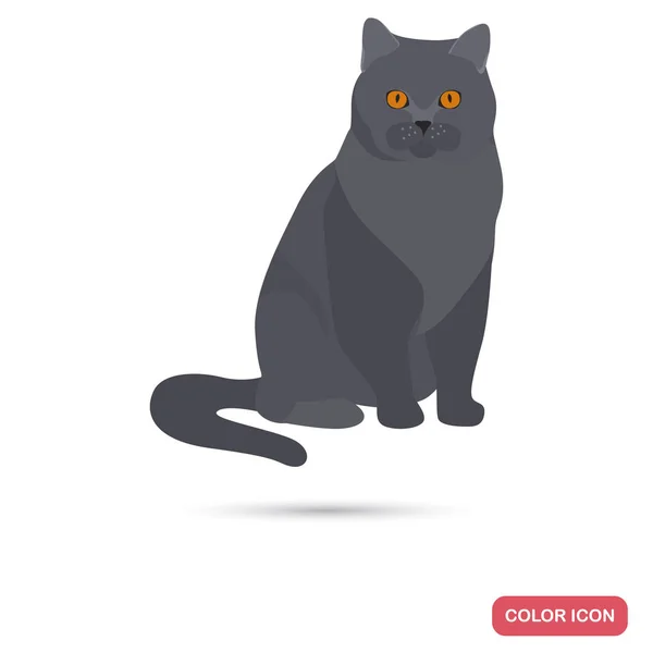 British Shorthair gatto razza colore icona piatta per il web e il design mobile — Vettoriale Stock