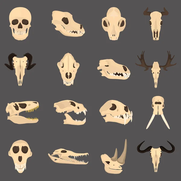 Conjunto de cráneos de mamíferos y reptiles color icono plano para el diseño web y móvil — Archivo Imágenes Vectoriales