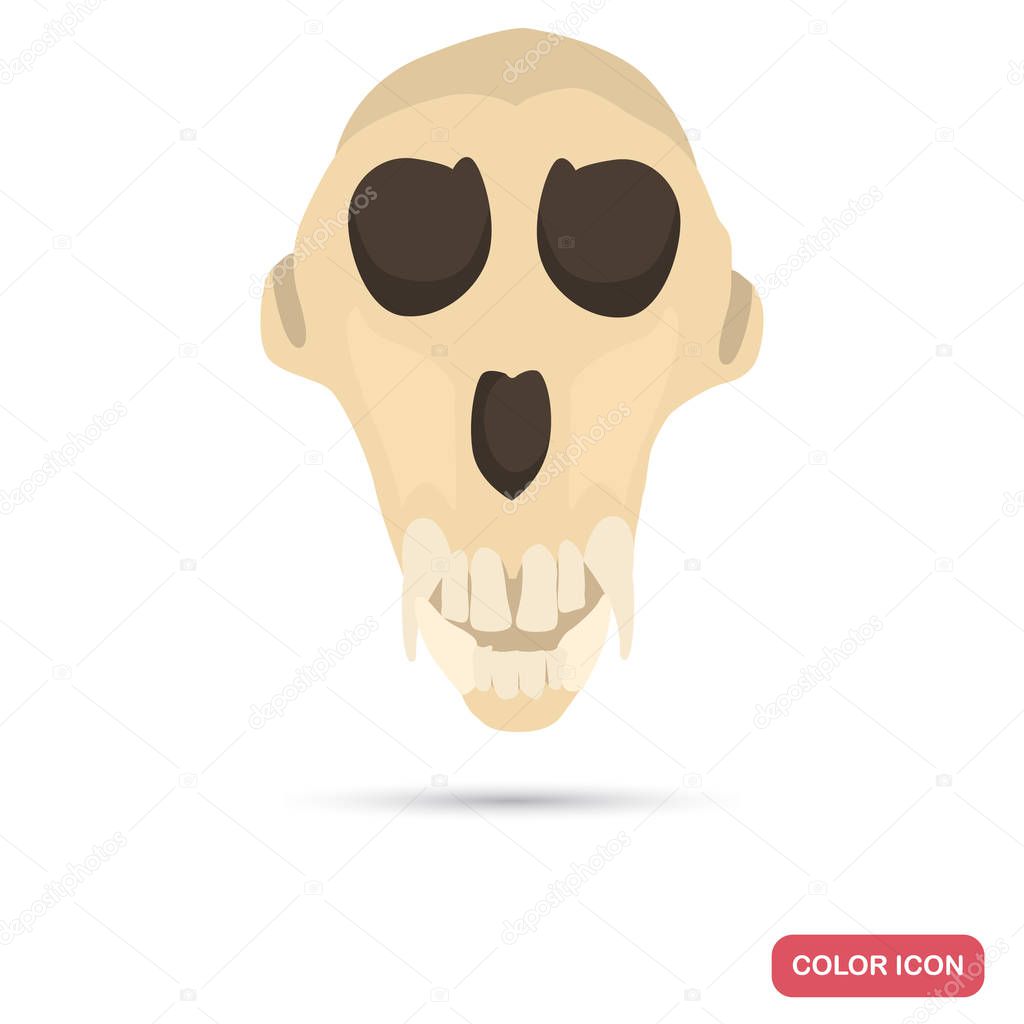 Monkey skull color flat icon for web and mobile design