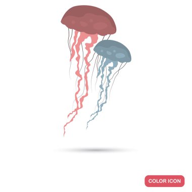 Denizanası renk düz simgesi web ve mobil tasarım için