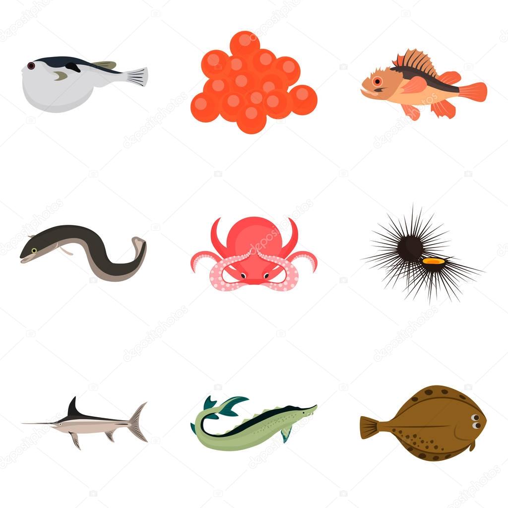 Set of sea food icons for web and mobile design