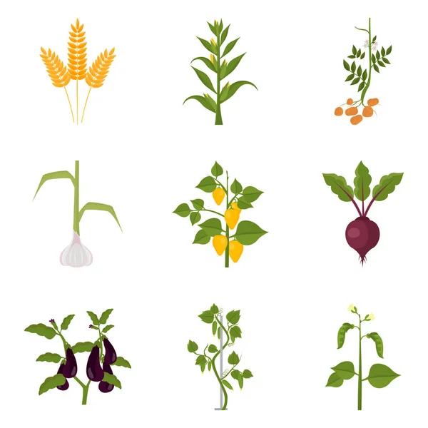 Agricultura cultivos iconos de color conjunto para la web y el diseño móvil — Archivo Imágenes Vectoriales