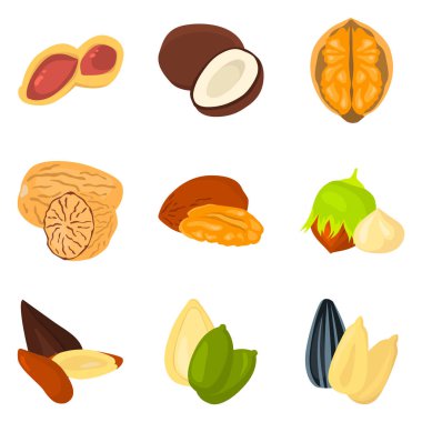 Web ve mobil tasarım için düz fındık Icons set renk kümesi