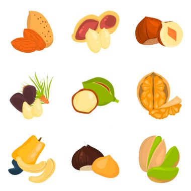 Web ve mobil tasarım için düz fındık Icons set renk kümesi