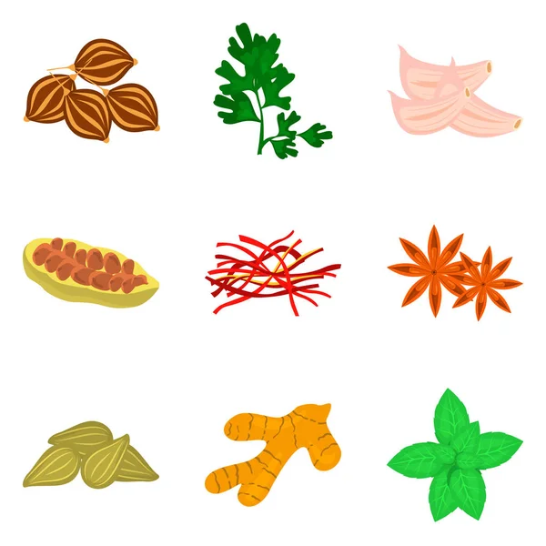 Ensemble d'icônes d'épices plates de couleur pour le web et le design mobile — Image vectorielle