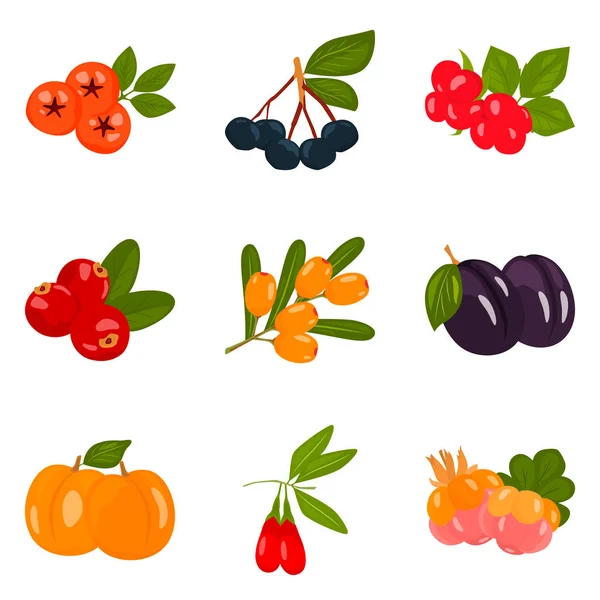 Набор цветных плоских ягод иконок для веб и мобильного дизайна — стоковый вектор