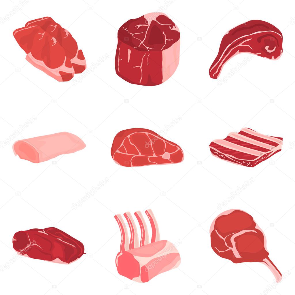 Set of color flat meat products icons set for web and mobile design