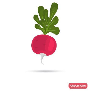 Web ve mobil tasarım için turp renk simge