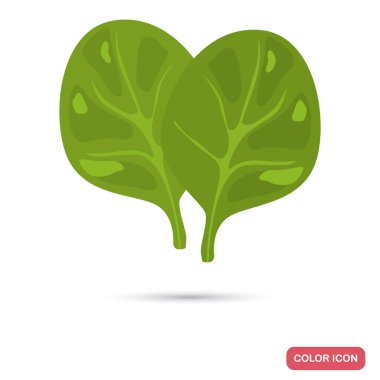 Web ve mobil tasarım için renk simge ıspanak yaprakları