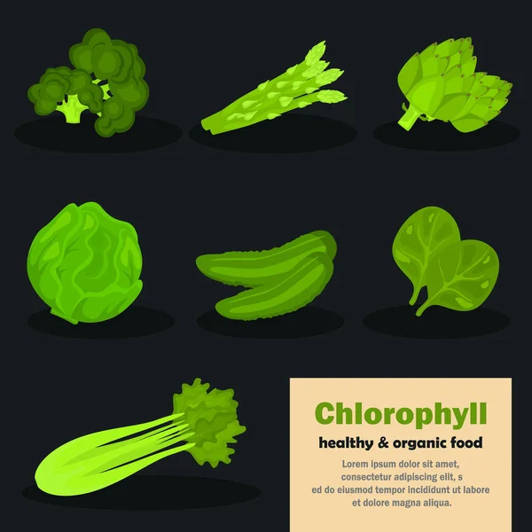 Conjunto de iconos de color de verduras de clorofila para diseño web y móvil — Vector de stock