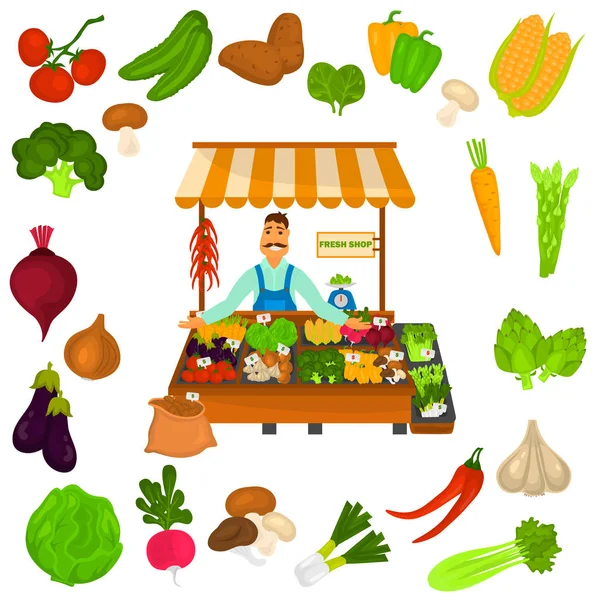 Λαχανικά χρώμα σετ εικονιδίων. Βιολογικά τρόφιμα λογότυπο στη μέση για το web και φορητή σχεδίαση — Διανυσματικό Αρχείο