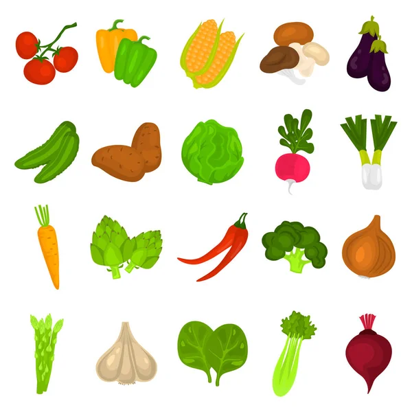 Conjunto de iconos de verduras de color para diseño web y móvil — Archivo Imágenes Vectoriales