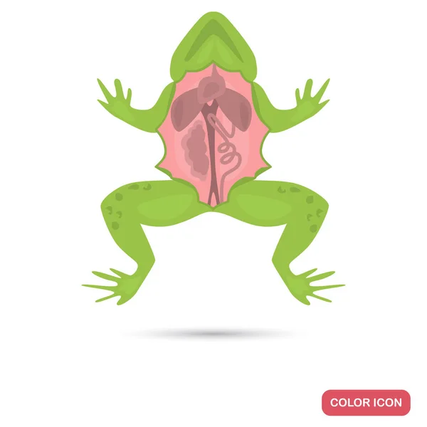 Sezierte Frosch Farbe flaches Symbol für Web-und mobiles Design — Stockvektor