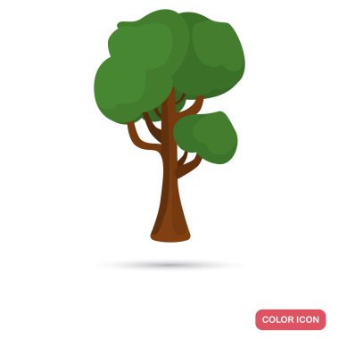 Akçaağaç ağaç renk düz simgesi web ve mobil tasarım için