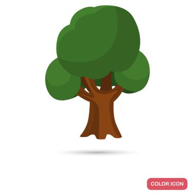 Çınar ağacı renk düz simgesi web ve mobil tasarım için