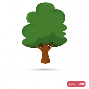 Kayın ağacı renk düz simgesi web ve mobil tasarım için