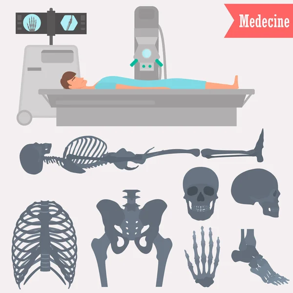 Набор различных частей человеческого скелета иконы. Рентгеновская иллюстрация человека для веб и мобильного дизайна — стоковый вектор